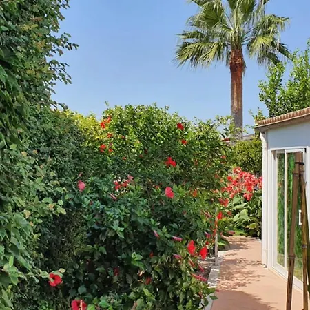 Serra 4 -santa Margalida- Villa